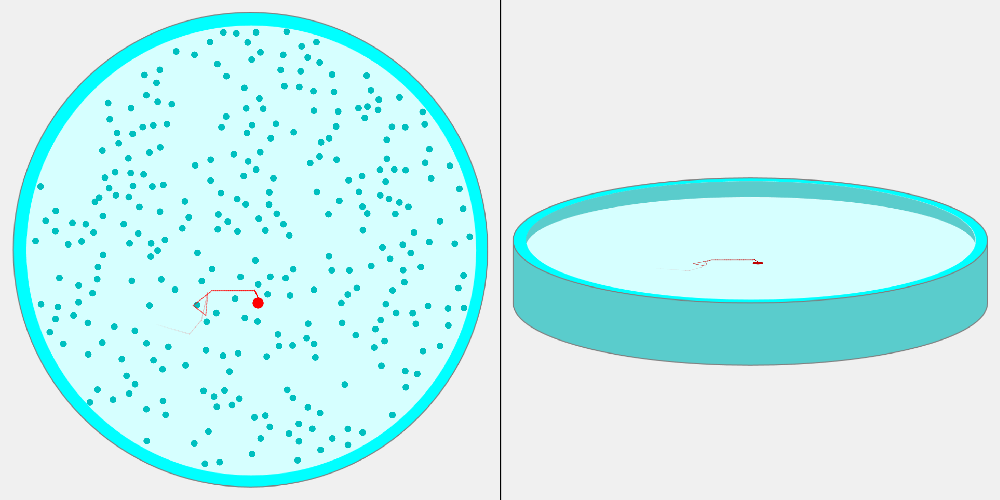 Brownian motion