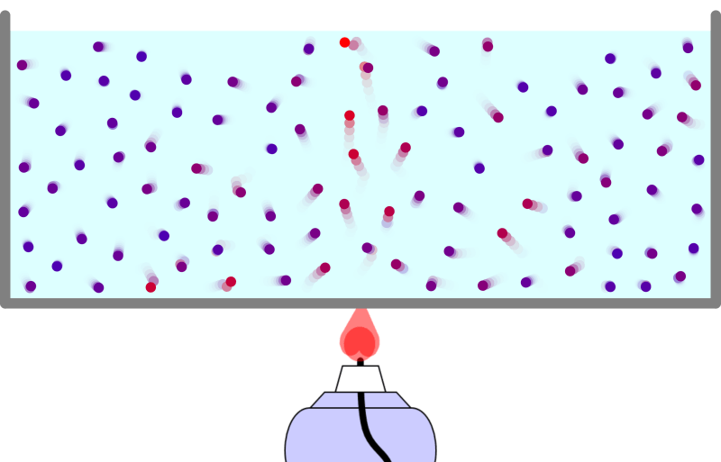 Convection Simulation