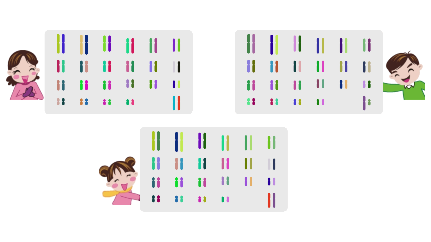 Genetic diversity