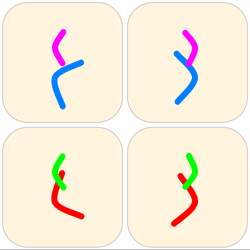 Meiosis