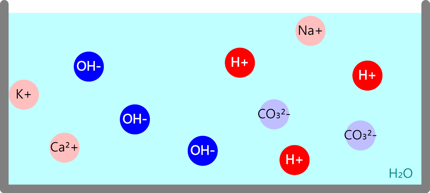 Neutralization Reaction Model