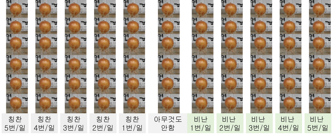 양파 실험의 경향성을 파악하기 위해서는 독립변인의 세분화가 필요
