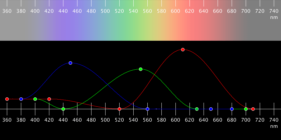 Rainbow Colors