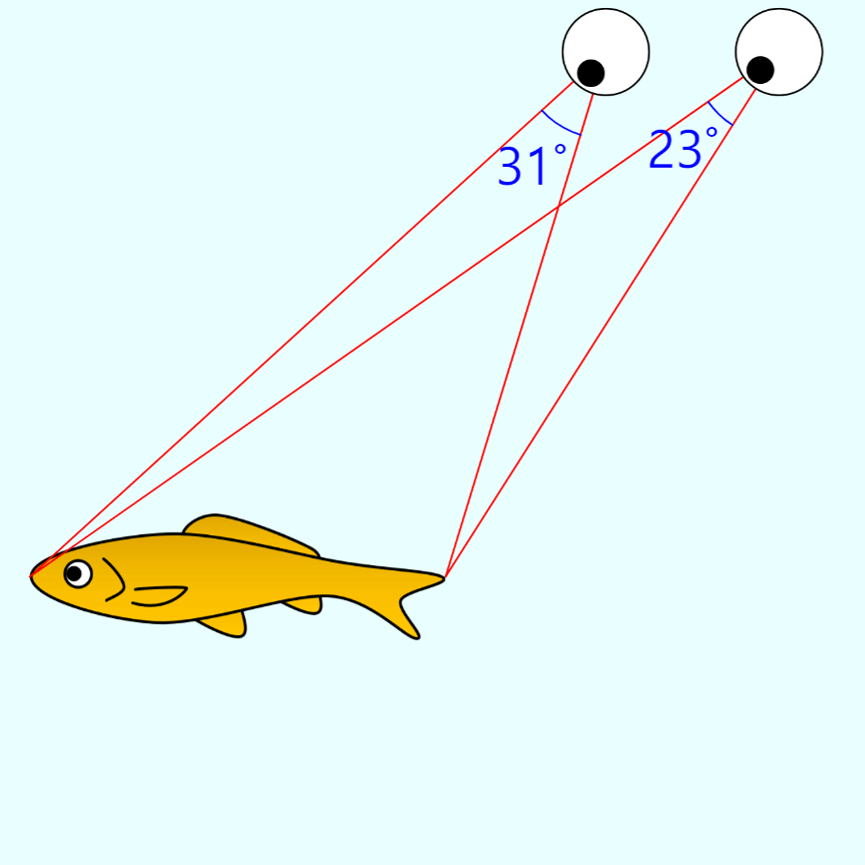 Refraction on water